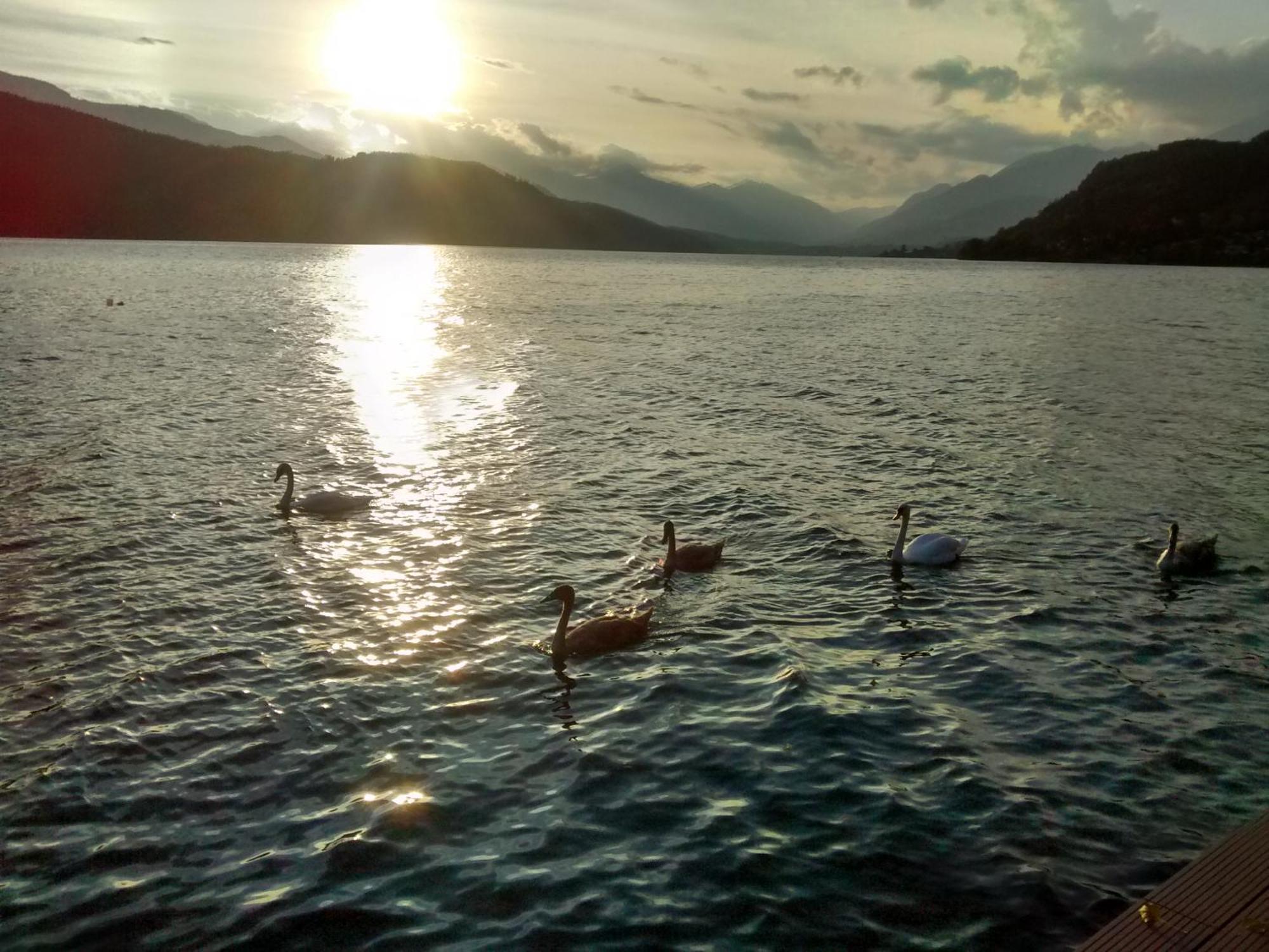 Ferienwohnungen Fischerhaus - Direkt Am See Millstatt Exterior photo